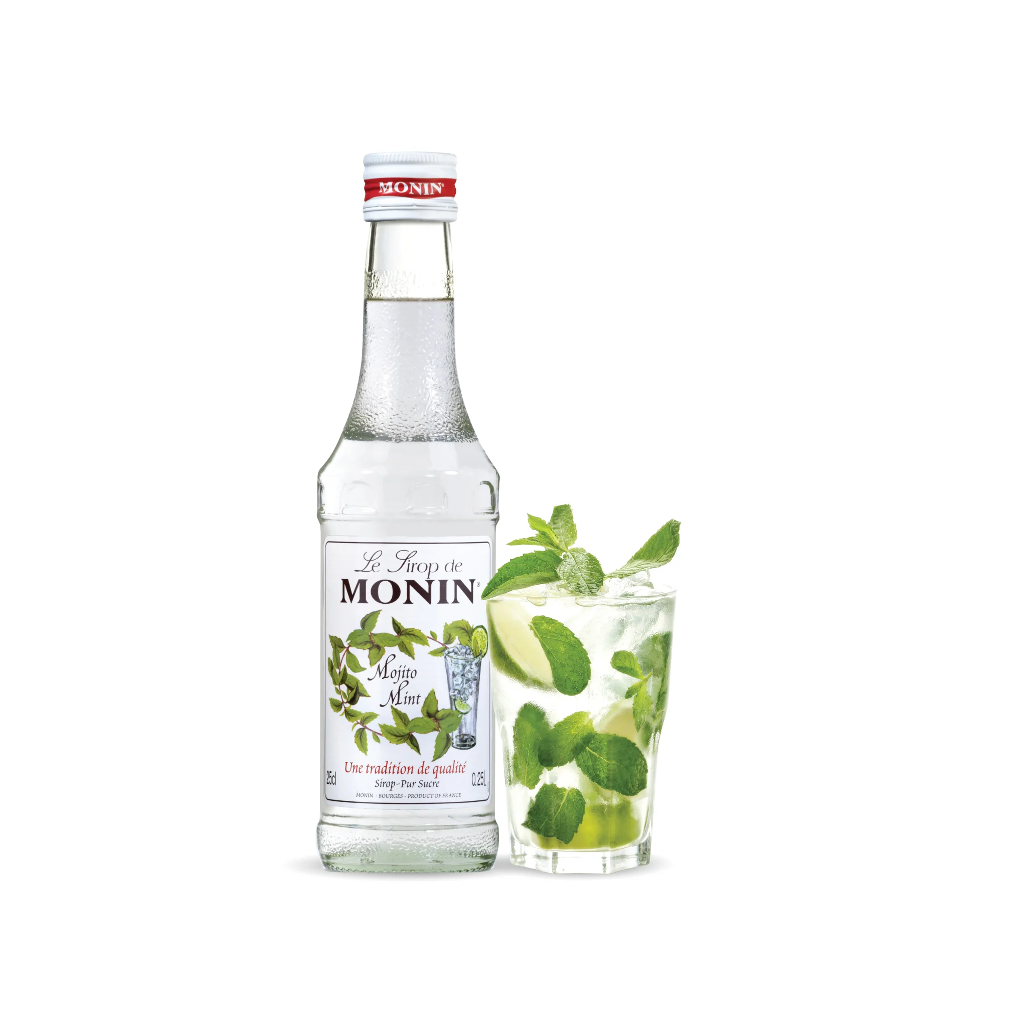 Mojito-Wild-Mint-250ml+Image-HD