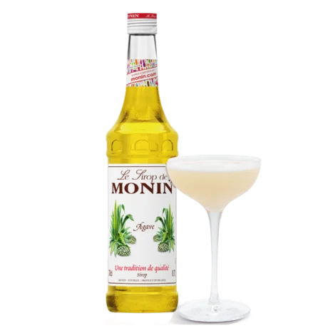 Monin Agave